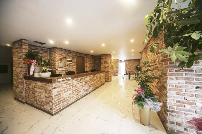 Imagen de los interiores del Hotel Hotel Adel. Foto 18