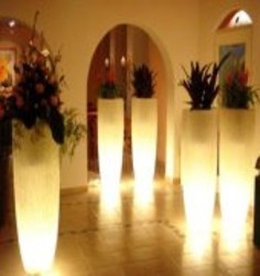 Imagen general del Hotel Hotel Adenia - Hochenschwand. Foto 2