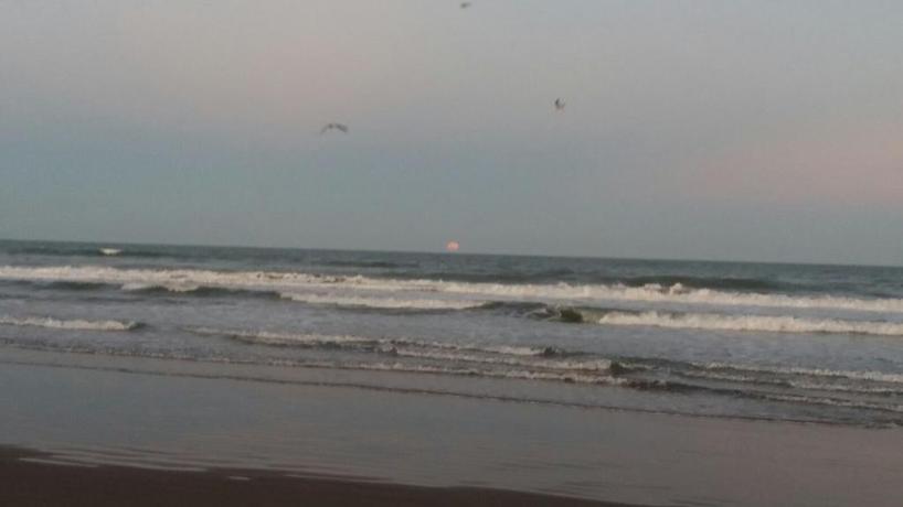 Imagen de los exteriores del Hotel Hotel Adriatico. Foto 6