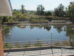 Imagen general del Hotel Hotel Albatros. Foto 4