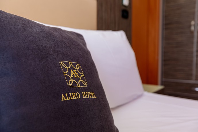 Imagen de la habitación del Hotel Hotel Aliko. Foto 11