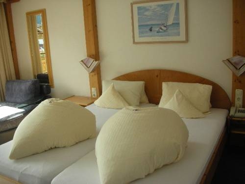 Imagen general del Hotel Hotel Alpin. Foto 14
