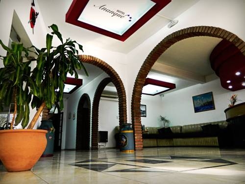 Imagen general del Hotel Hotel Ananqu&eacute;. Foto 6