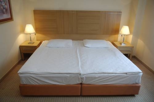 Imagen general del Hotel Hotel Antunovic. Foto 13