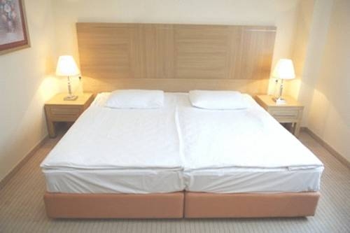 Imagen general del Hotel Hotel Antunovic. Foto 15