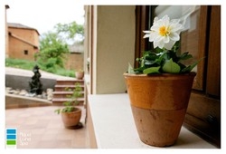 Imagen general del Hotel Hotel Aqua Luna Spa. Foto 2