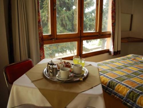 Imagen general del Hotel Hotel Argentino del Sur. Foto 8