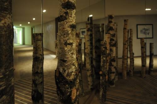 Imagen general del Hotel Hotel Auriga. Foto 28