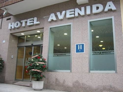Imagen general del Hotel Hotel Avenida. Foto 5