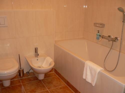 Imagen de la habitación del Hotel Hotel Batzenh&auml;usl. Foto 38