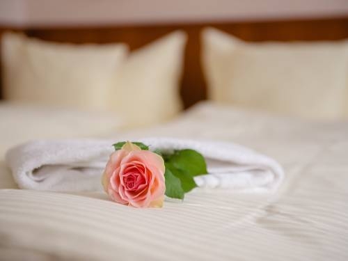 Imagen general del Hotel Hotel Beek. Foto 1
