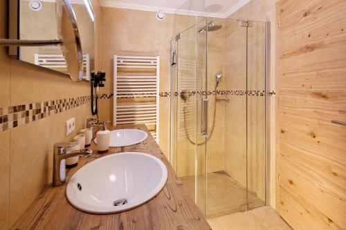 Imagen general del Hotel Hotel Berghof, Esqui alpes (SZG INN). Foto 4