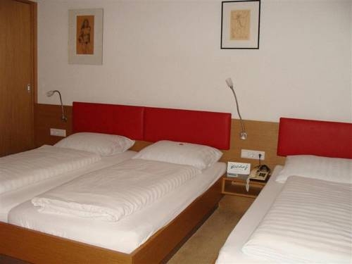 Imagen general del Hotel Hotel Bischof. Foto 15