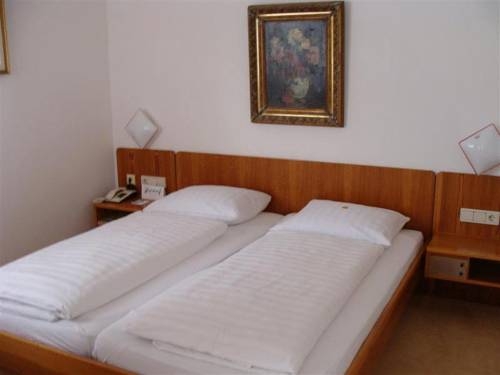 Imagen general del Hotel Hotel Bischof. Foto 16
