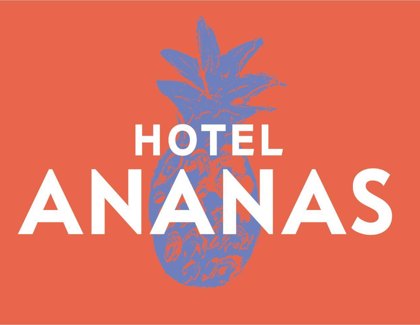 Imagen general del Hotel Hotel Boutique Ananas. Foto 23