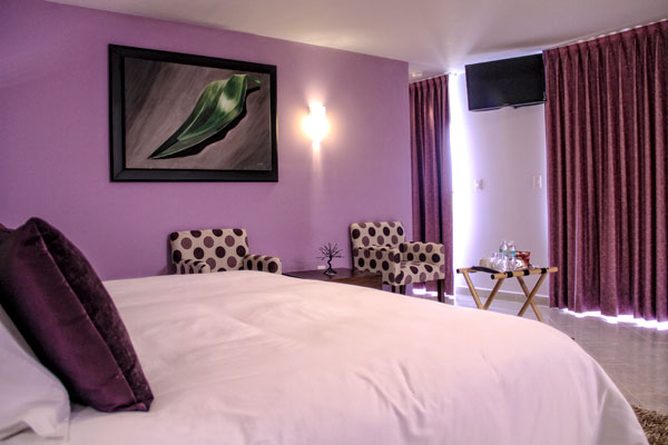 Imagen de la habitación del Hotel Hotel Boutique Las Puertas al Cielo. Foto 7