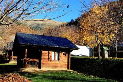 Imagen general del Hotel Hotel, Bungalows y Camping Viu. Foto 9
