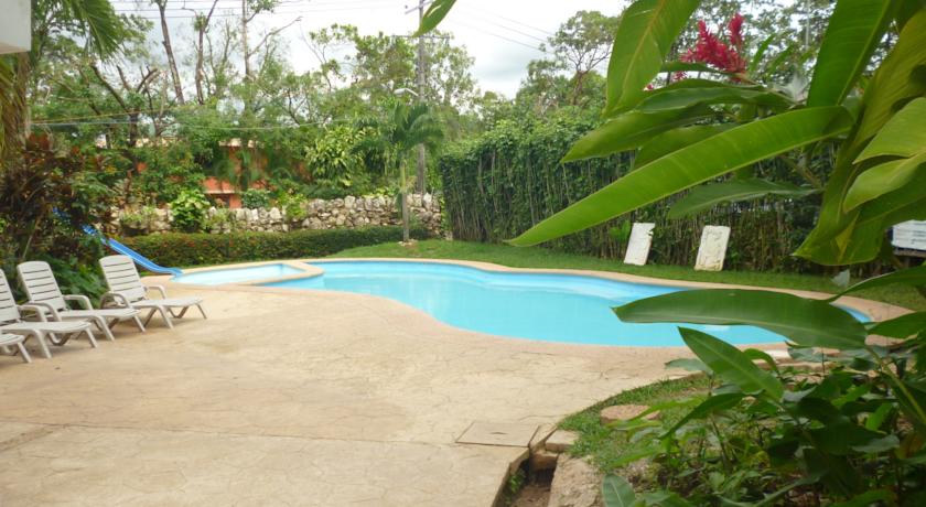 Imagen de la piscina del Hotel Hotel Cañada Internacional. Foto 7