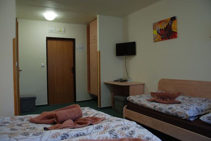 Imagen de la habitación del Hotel Hotel Chur&aacute;ňov. Foto 4