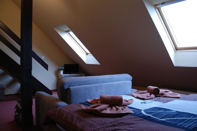 Imagen de la habitación del Hotel Hotel Chur&aacute;ňov. Foto 13