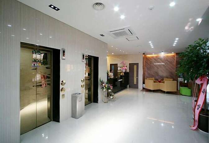 Imagen general del Hotel Hotel Cleopatra Ilsan. Foto 14