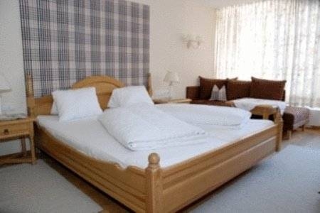 Imagen general del Hotel Hotel Daneu. Foto 5