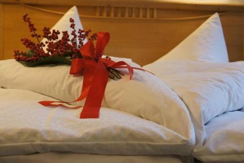 Imagen general del Hotel Hotel Dr. Otto Murr. Foto 32