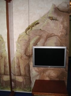 Imagen de la habitación del Hotel Hotel Drachen. Foto 2