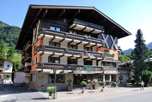Imagen general del Hotel Hotel Edelweiss, Saalbach-Hinterglemm . Foto 23