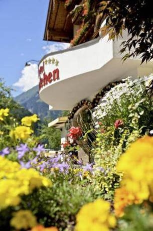 Imagen general del Hotel Hotel Edenlehen. Foto 23