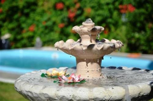 Imagen general del Hotel Hotel Edith. Foto 24