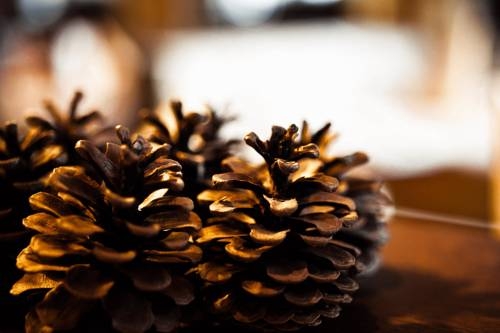 Imagen general del Hotel Hotel Eschenhof. Foto 15