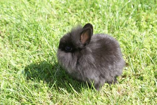 Imagen general del Hotel Hotel Eschenhof. Foto 29