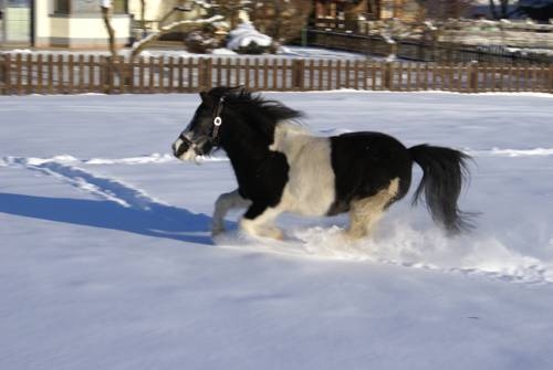 Imagen general del Hotel Hotel Eschenhof. Foto 35