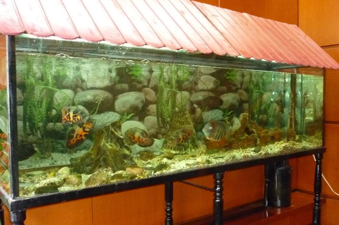 Imagen de los interiores del Hotel Hotel Francisco Javier. Foto 14