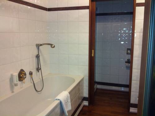 Imagen general del Hotel Hotel Friesacher. Foto 8