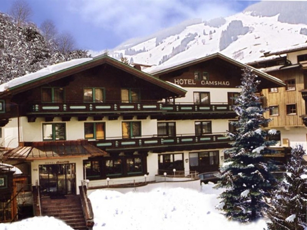 Imagen general del Hotel Hotel Gamshag. Foto 6