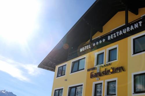 Imagen general del Hotel Hotel Gamsleiten. Foto 2