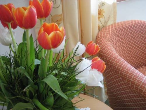 Imagen general del Hotel Hotel Garni Buchinger. Foto 8