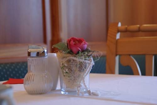 Imagen general del Hotel Hotel Garni Buchinger. Foto 10