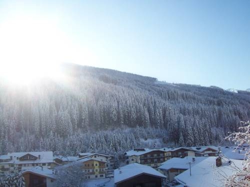 Imagen general del Hotel Hotel Garni Hanslerhof. Foto 20