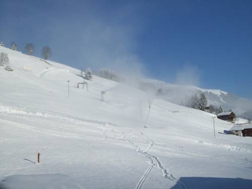 Imagen general del Hotel Hotel Garni Hanslerhof. Foto 22