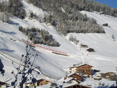 Imagen general del Hotel Hotel Garni Hanslerhof. Foto 23