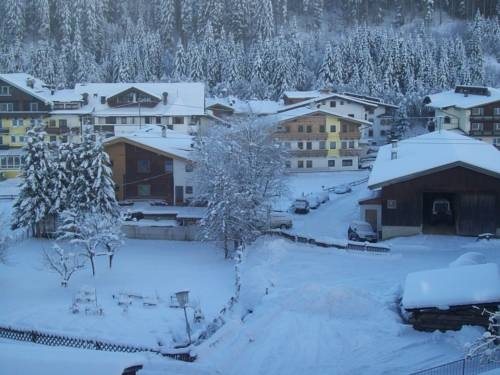 Imagen de la habitación del Hotel Hotel Garni Hanslerhof. Foto 61