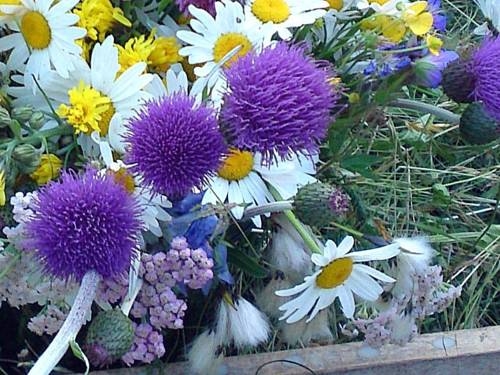 Imagen general del Hotel Hotel Garni Hanslerhof. Foto 40