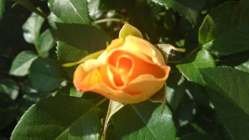 Imagen de la habitación del Hotel Hotel Garni Hanslerhof. Foto 64