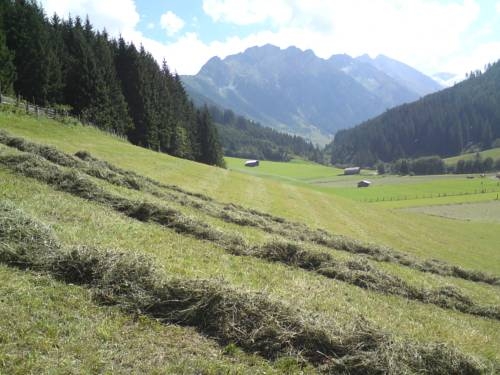 Imagen general del Hotel Hotel Garni Hanslerhof. Foto 41