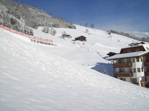 Imagen general del Hotel Hotel Garni Hanslerhof. Foto 42