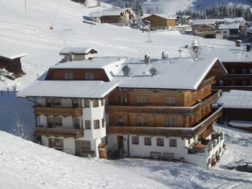 Imagen general del Hotel Hotel Garni Hanslerhof. Foto 44