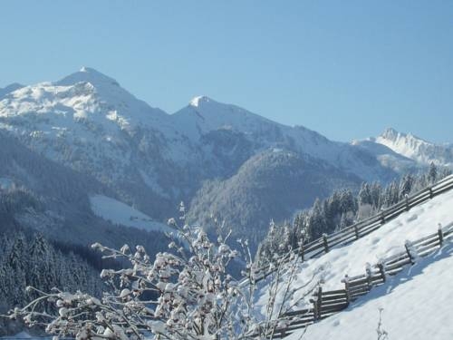 Imagen general del Hotel Hotel Garni Hanslerhof. Foto 46